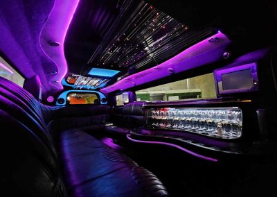 2006 White Hummer - Inside View Purple WideView