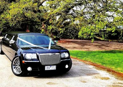 2007 Black Chrysler Limo - Wide Shot of Car In Nature