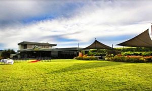 vines-of-the-yarra-valley